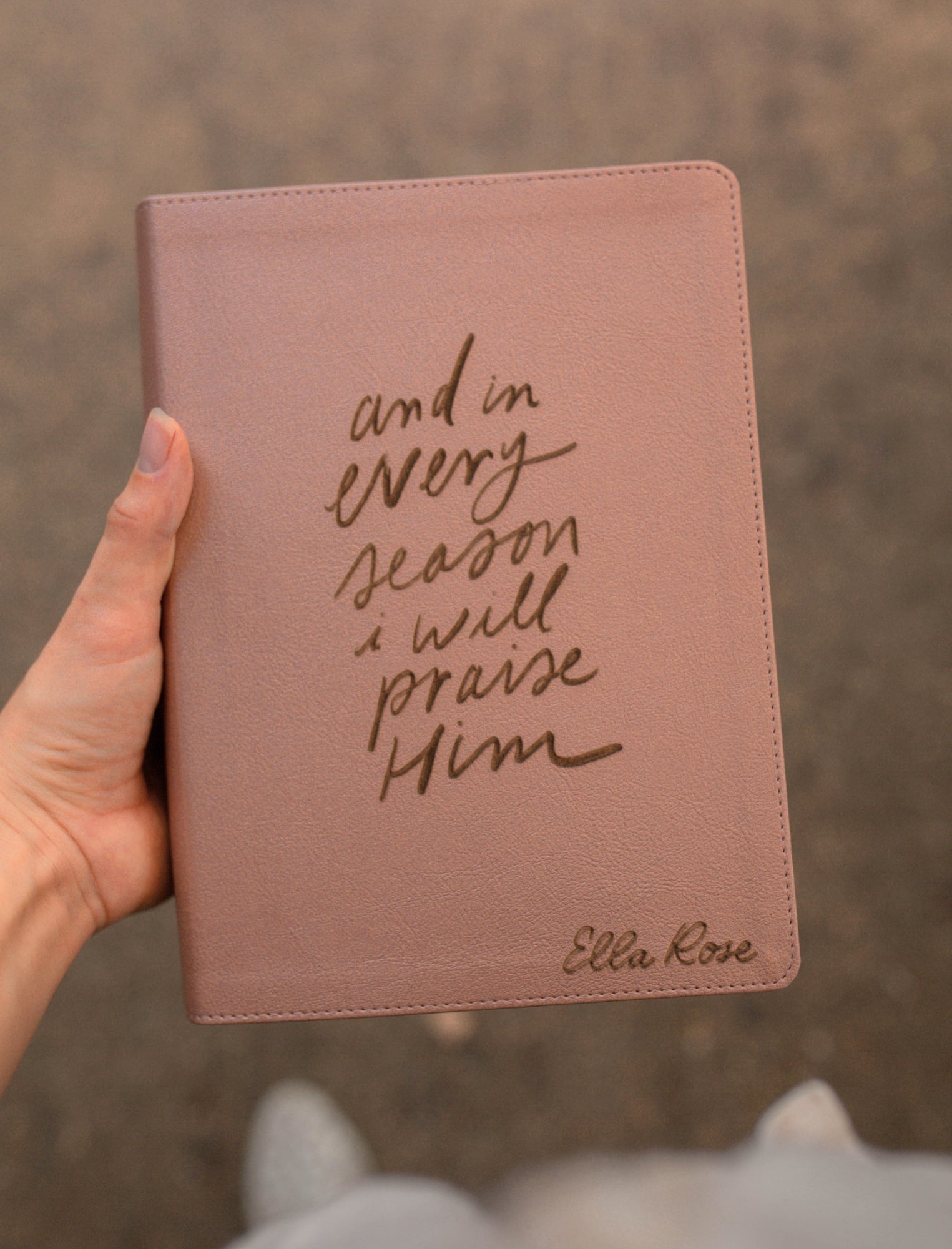 CSB She Reads Truth Bible - And in Every Season - Jenessa Wait
