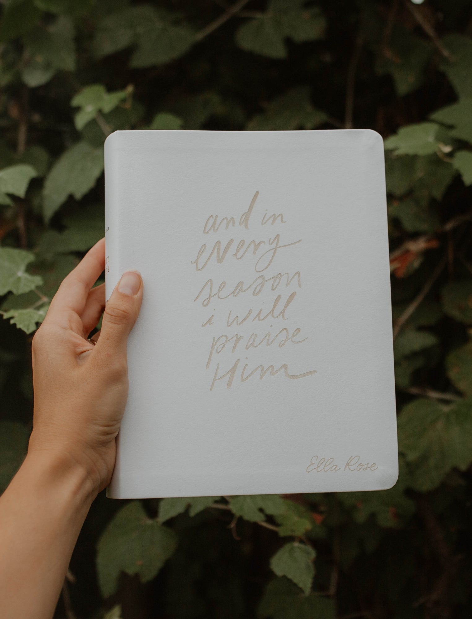 NLT White Journaling Bible - And in Every Season