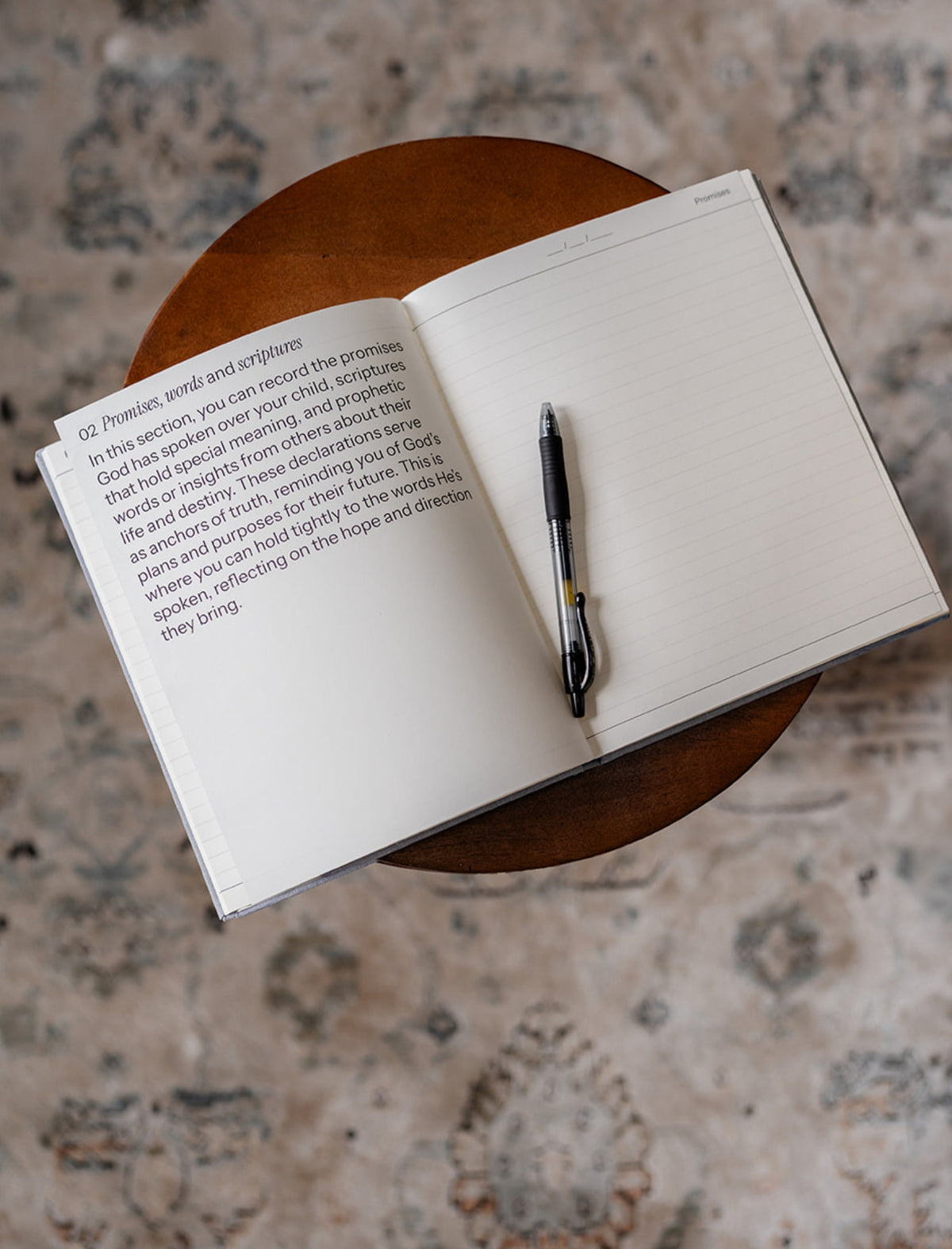 Journal Promise Destiny Journal: A journey of Prayer, Promise and Purpose for you Chil